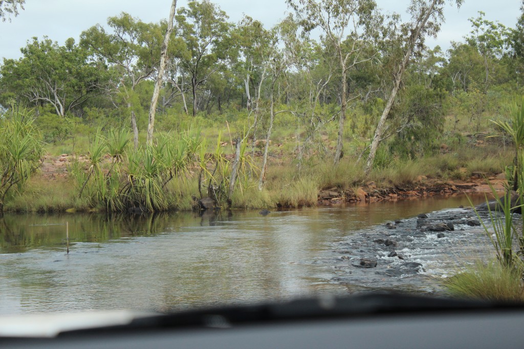 King Edward River crossing Mitchell Falls Road. Photo Jill Shanahan.