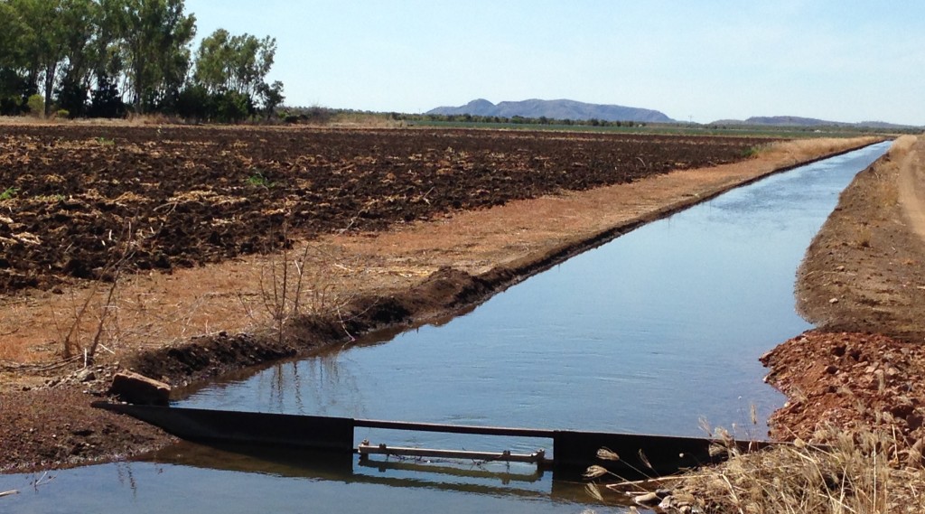 Ord River flood plain, watered by the vast Argyle Dam. Photo Chris Shanahan