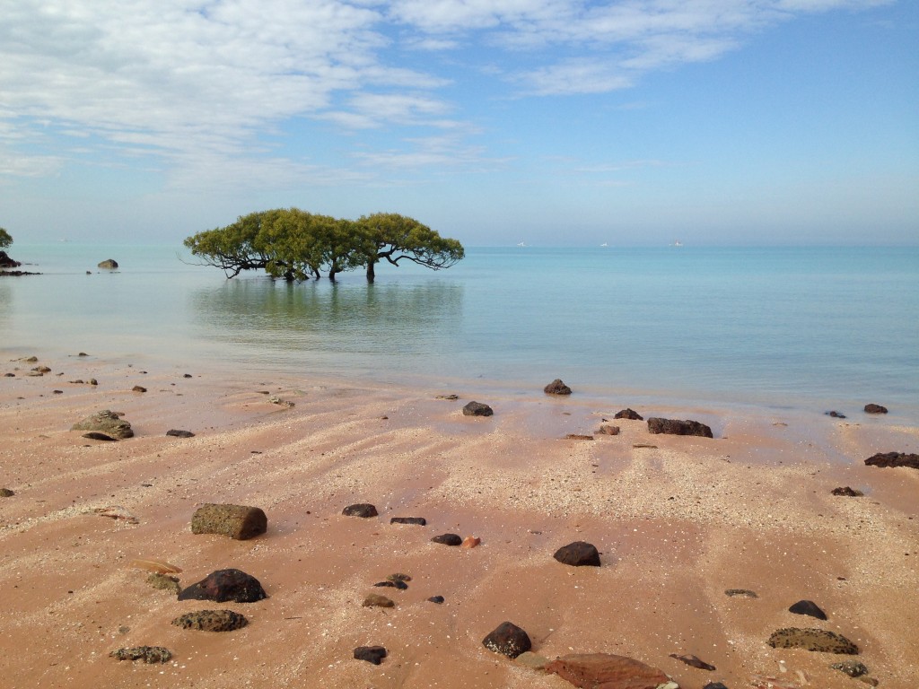 Town Beach, Roebuck Bay, Broome. Photo Chris Shanahan.