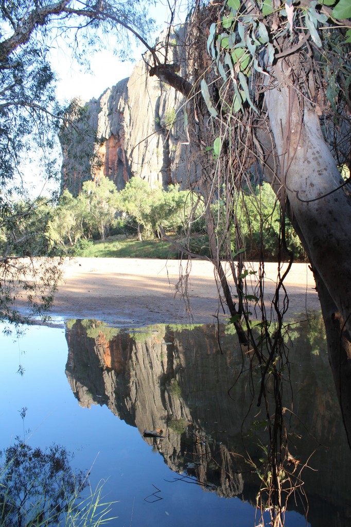 Windjana Gorge, western Gibb River Road. Photo Jill Shanahan.